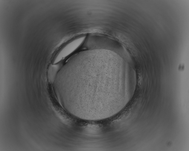 X0000094420256200711211417