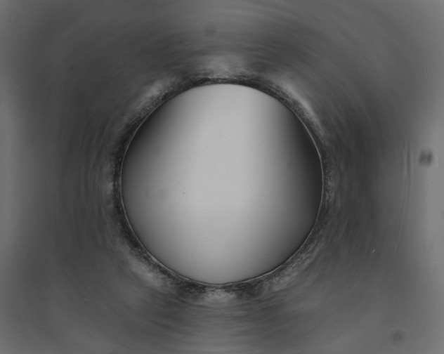 X0000094420257200711211417
