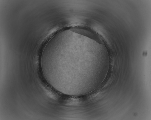 X0000094420260200711211417