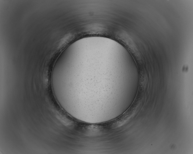 X0000094420261200711211417