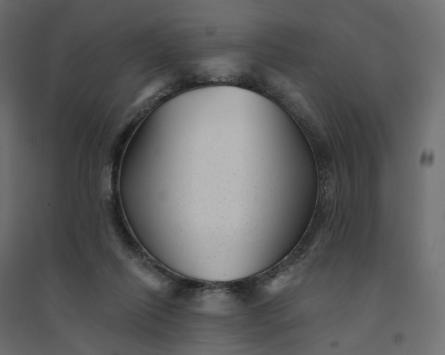 X0000094420262200711211417