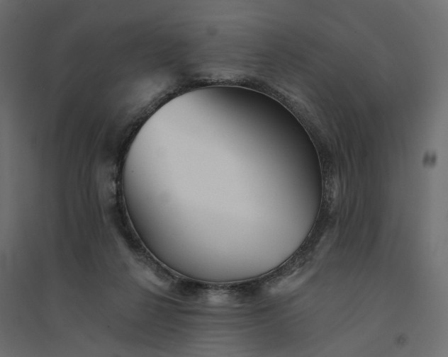X0000094420264200711211417