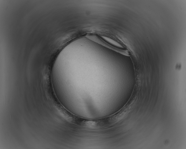 X0000094420265200711211417