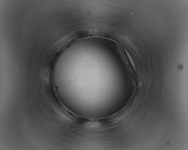 X0000094420266200711211417