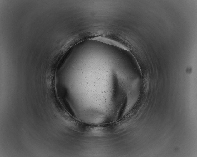X0000094420268200711211417