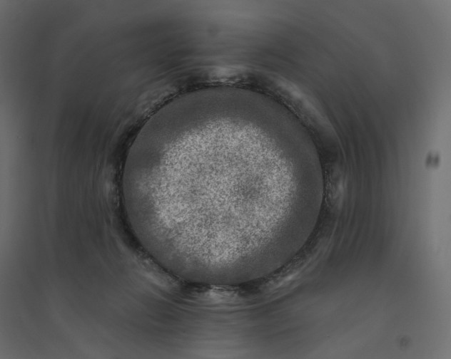 X0000094420270200711211417