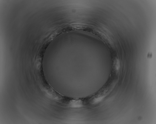 X0000094420271200711211417