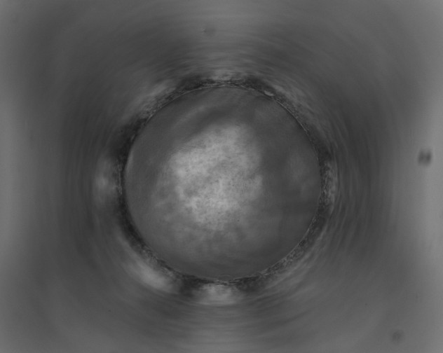 X0000094420272200711211417