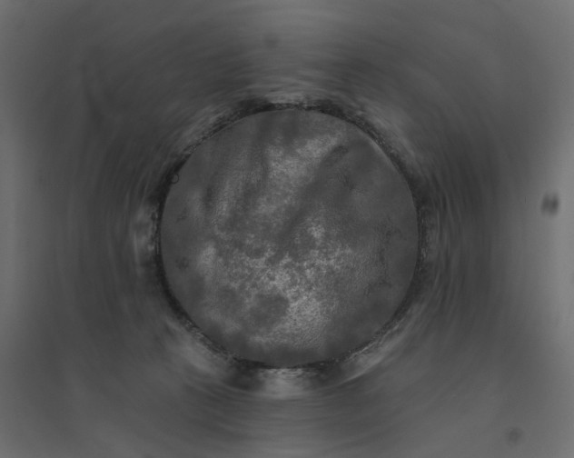 X0000094420273200711211417