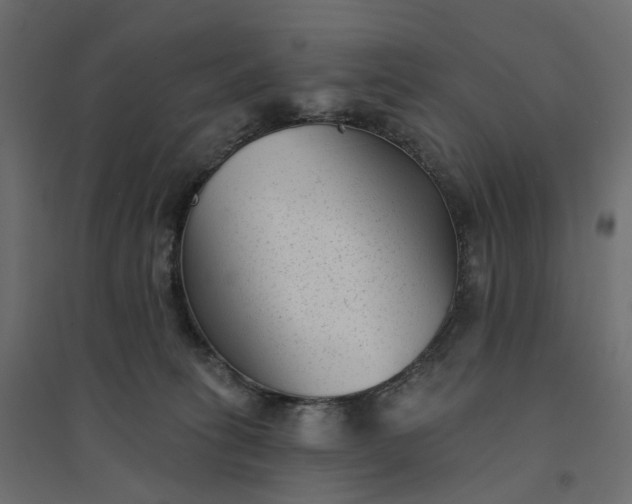 X0000094420275200711211417