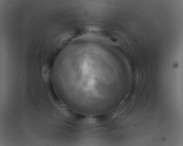 X0000094420276200711211417