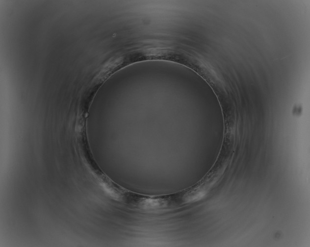 X0000094420277200711211417