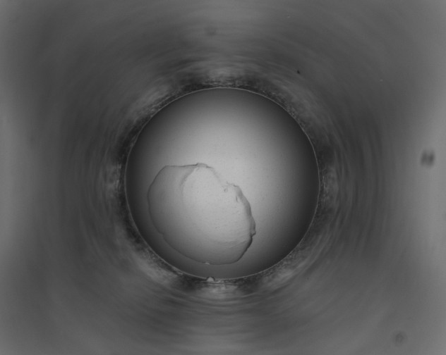 X0000094420278200711211417