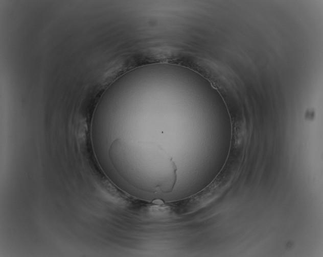 X0000094420279200711211417