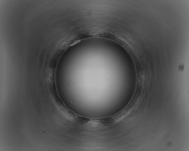 X0000094420280200711211417