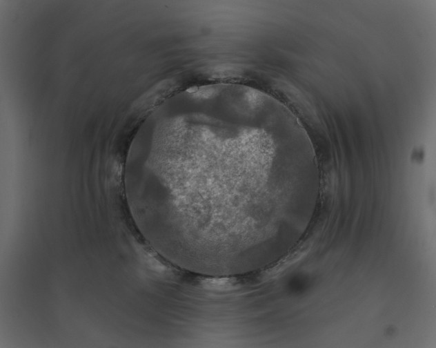X0000094420281200711211417