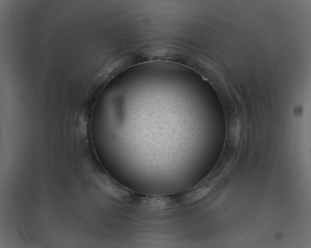X0000094420282200711211417