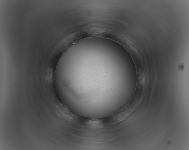 X0000094420283200711211417