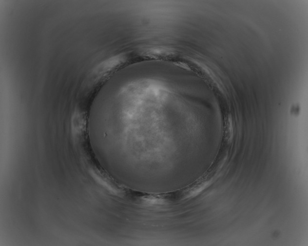 X0000094420284200711211417