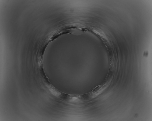 X0000094420285200711211417