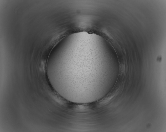 X0000094420286200711211417