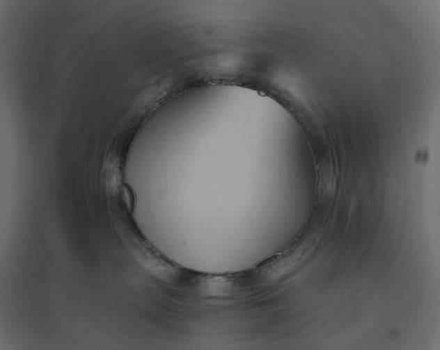 X0000094420287200711211417