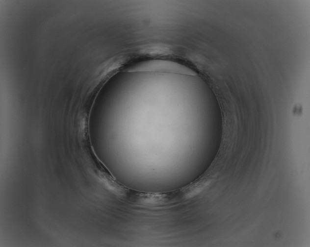X0000094420288200711211417