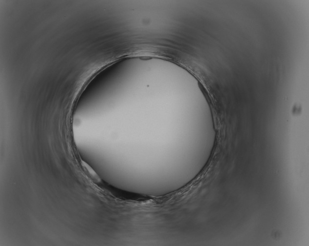 X0000094420289200711211417