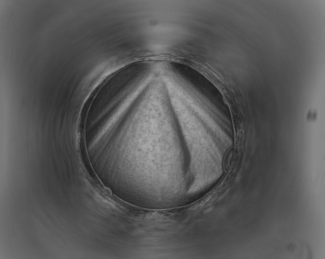 X0000094420290200711211417