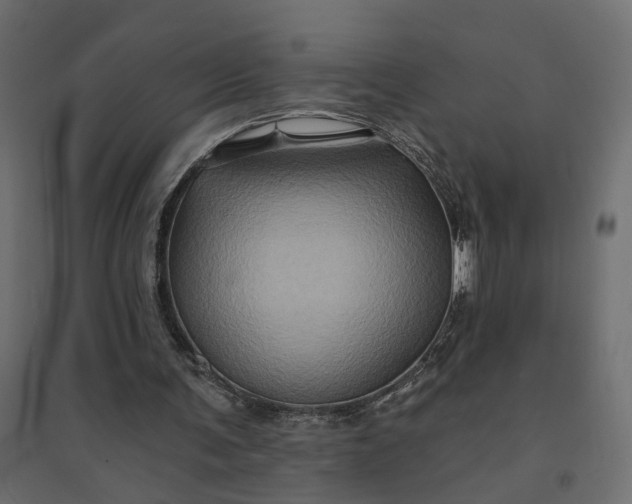 X0000094420291200711211417