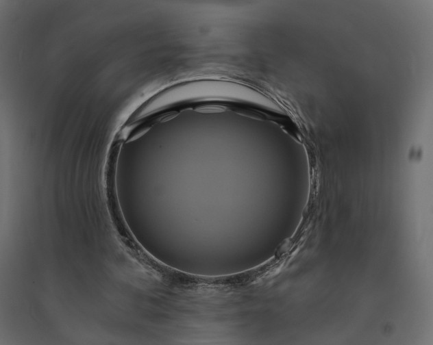 X0000094420292200711211417