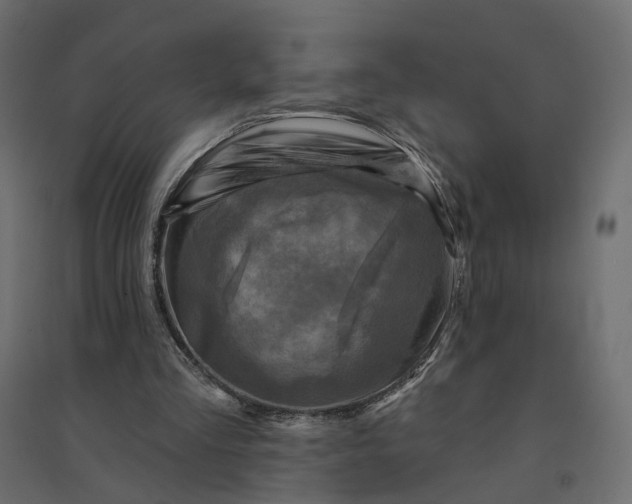 X0000094420293200711211417