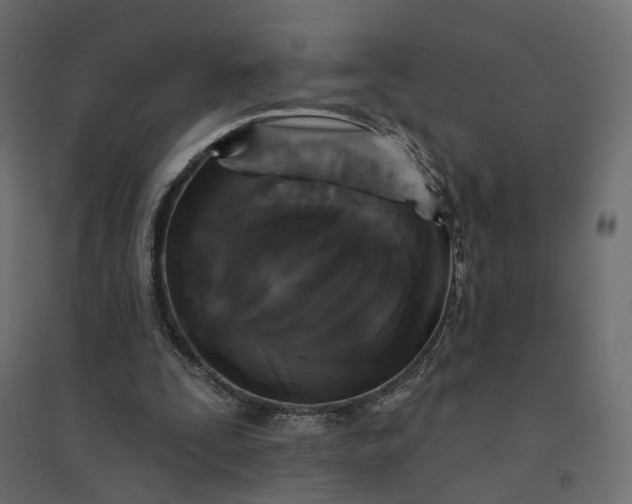 X0000094420295200711211416