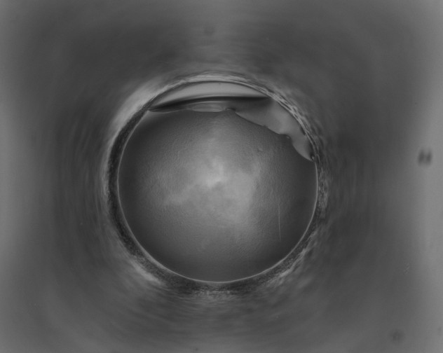 X0000094420296200711211416