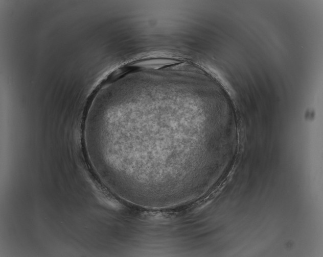 X0000094420297200711211416