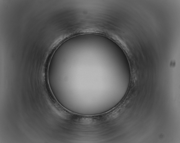 X0000094420298200711211416