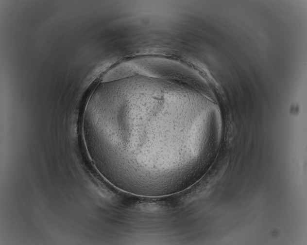 X0000094420299200711211416