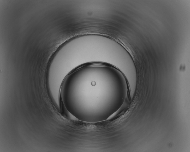 X0000094420301200711211416