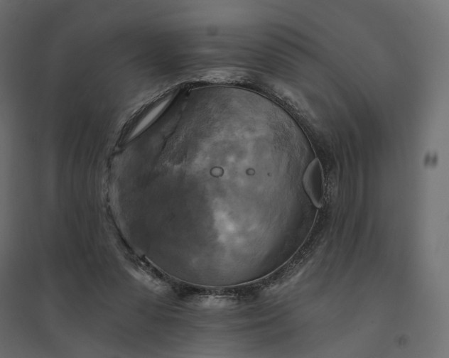 X0000094420303200711211416