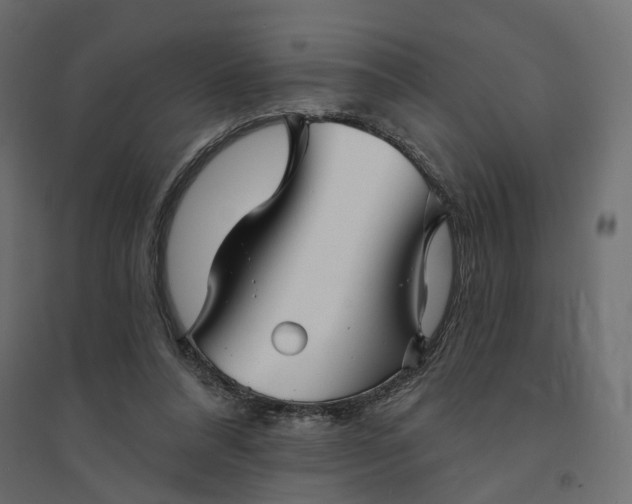 X0000094420304200711211416
