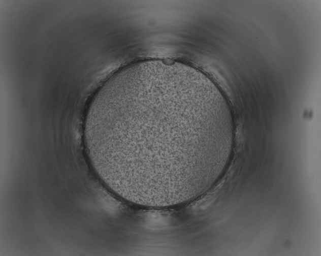 X0000094420305200711211416