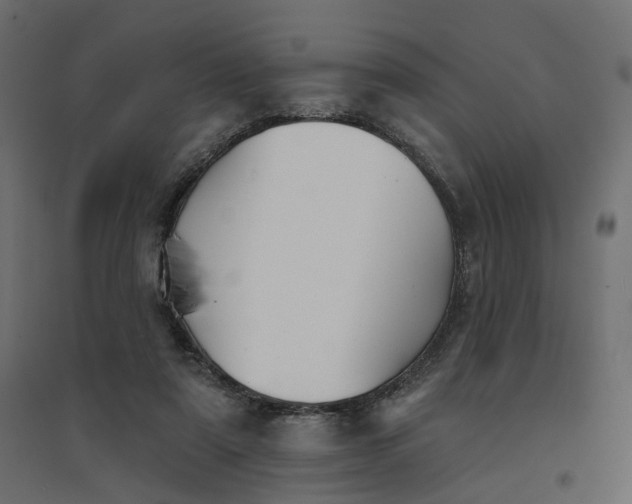 X0000094420307200711211416