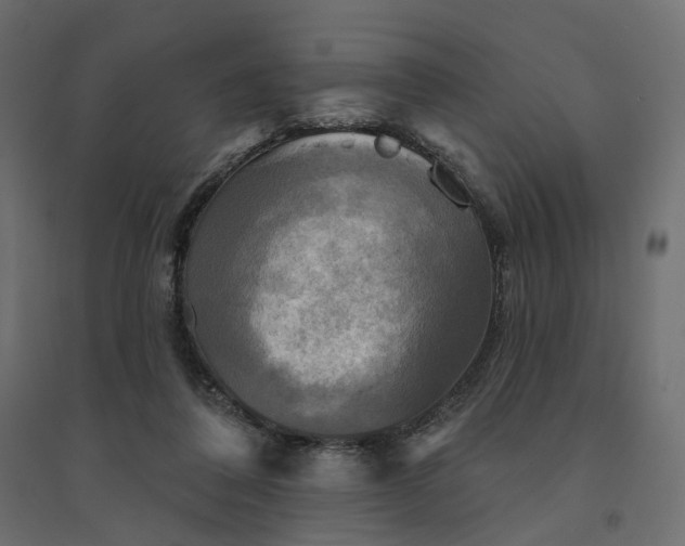 X0000094420308200711211416