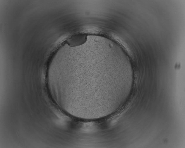 X0000094420309200711211416