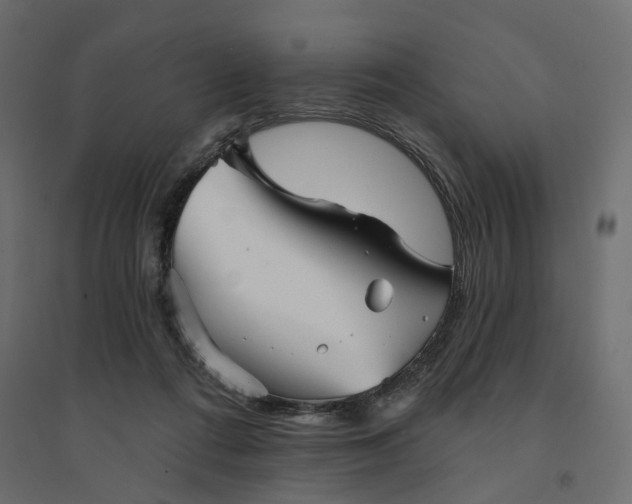 X0000094420312200711211416
