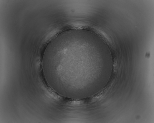 X0000094420314200711211416