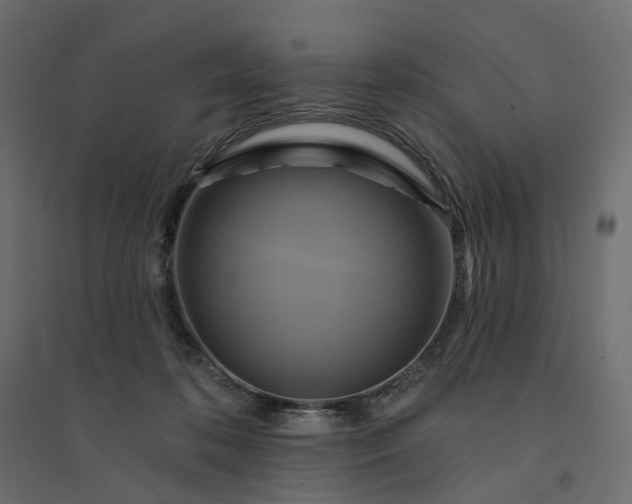X0000094420316200711211416