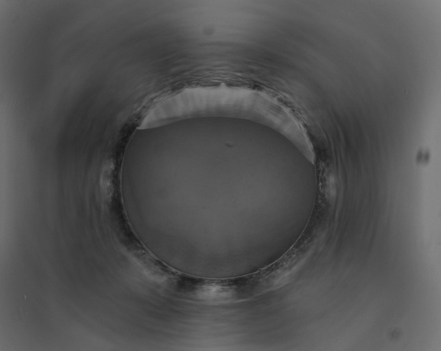 X0000094420319200711211416