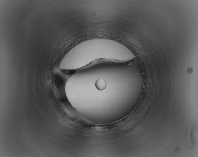 X0000094420320200711211416