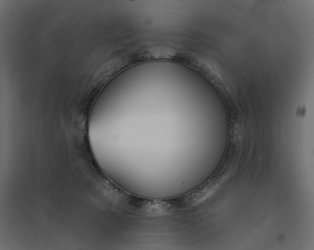 X0000094420321200711211416